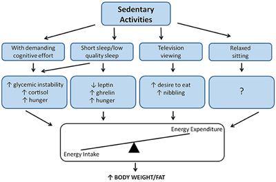 Sedentariness and Health: Is Sedentary Behavior More Than Just Physical Inactivity?